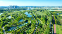 2023再出发 | 沣东新城生态环境再提升